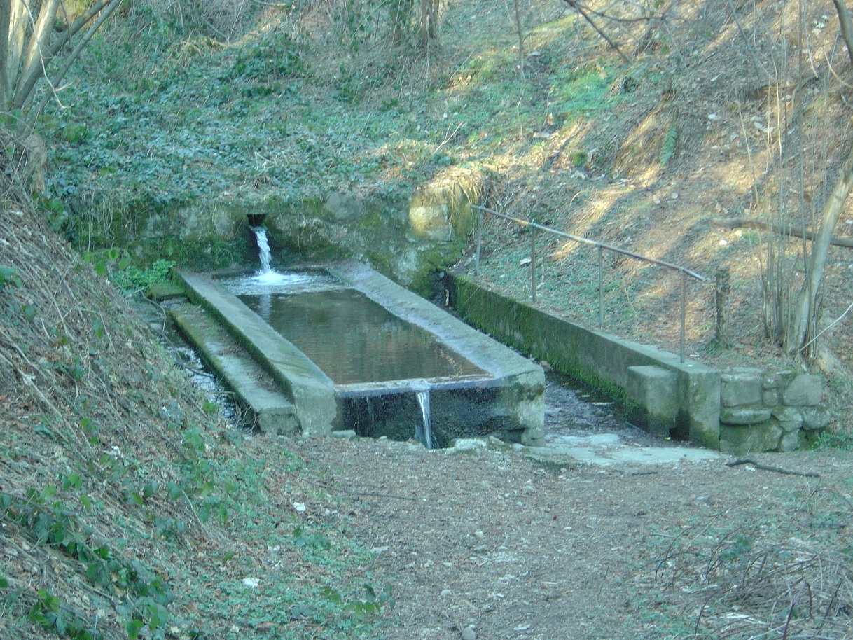 Fontane, fontanili e antichi lavatoi a Cantello